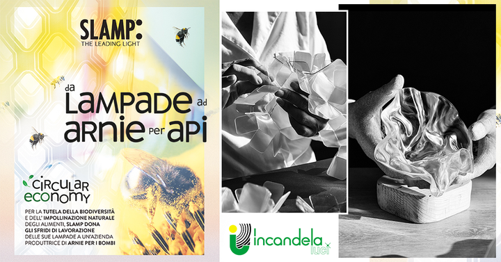 DA #LAMPADE AD #ARNIE PER LE #API 🐝